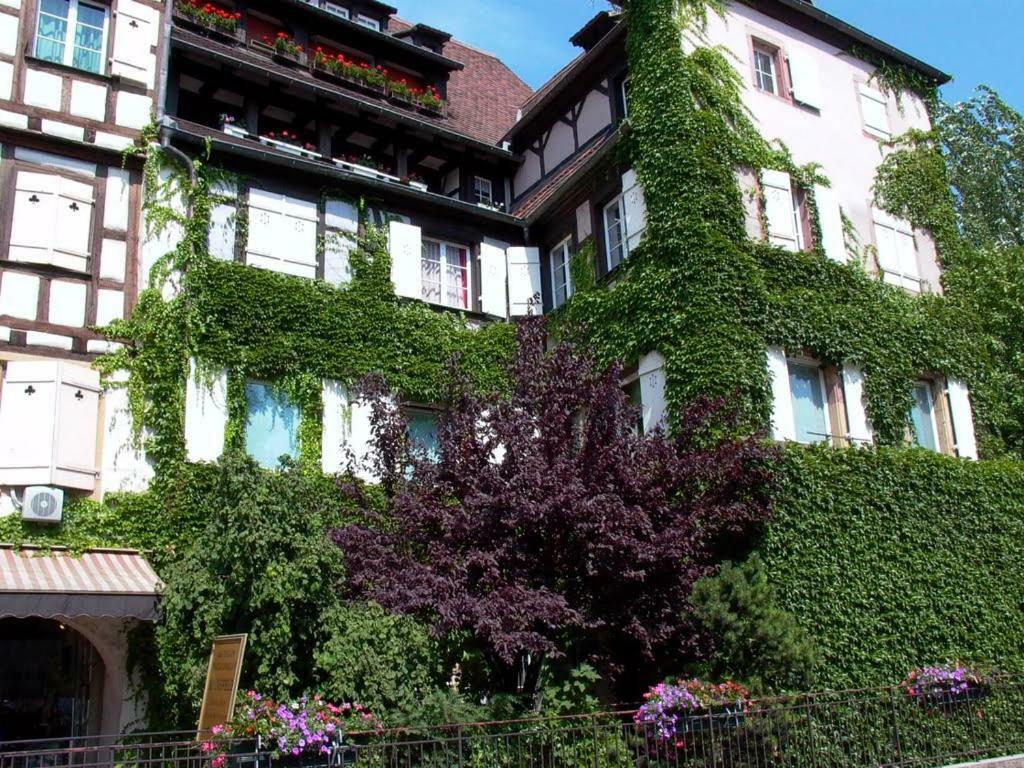 Chez Pauline Daire Colmar Dış mekan fotoğraf