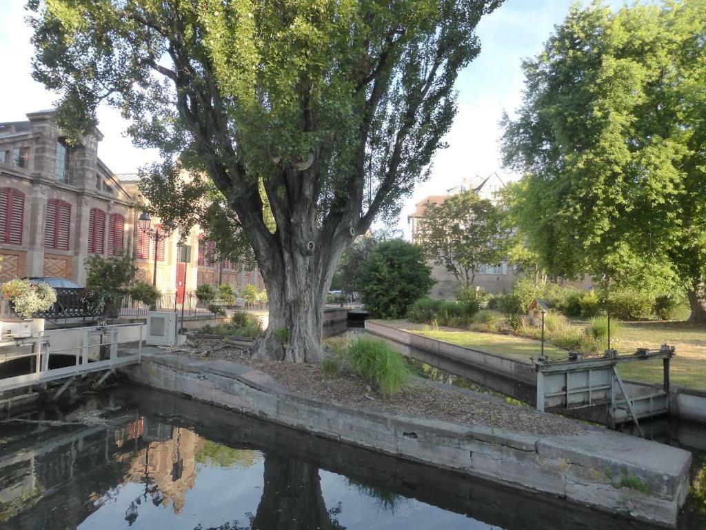 Chez Pauline Daire Colmar Dış mekan fotoğraf